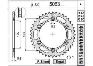 PIÑON OGNIBENE 50 D mod 5063 term R50