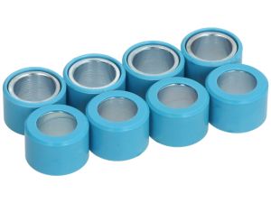 Rodillos contrapesos variador 8 unidades de 25x17 mm, 21,0 g
