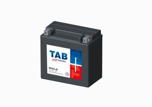 YTX14L-BS BATERIA MYTX14LBS AGM SIN MANTENIMIENTO TAB (CON PACK DE ACIDO)